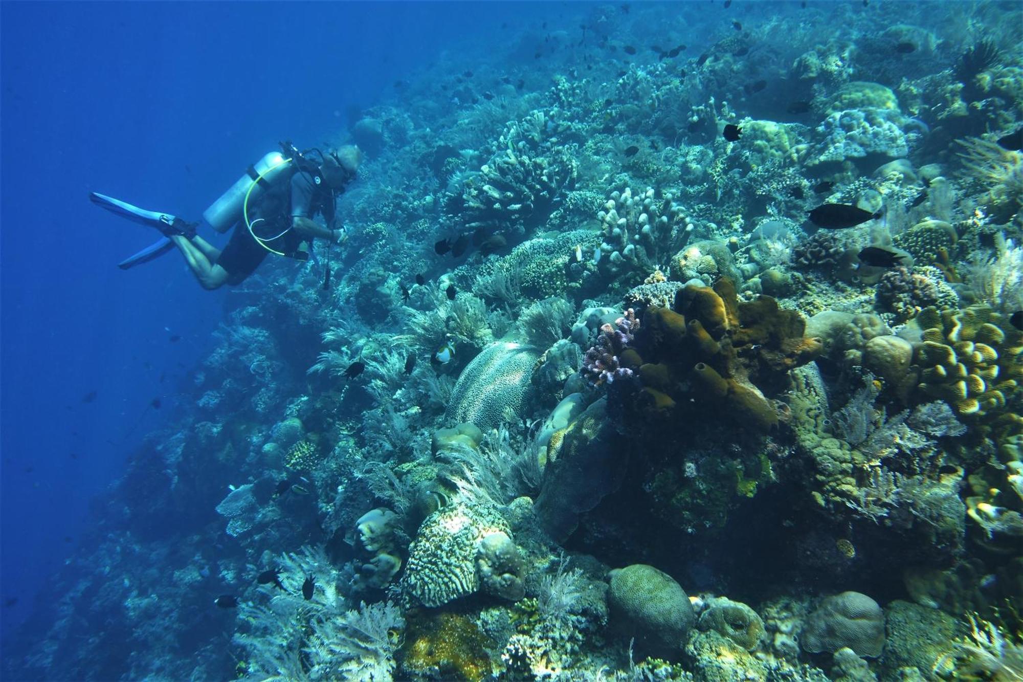 Bunaken Sea Garden Resort ภายนอก รูปภาพ